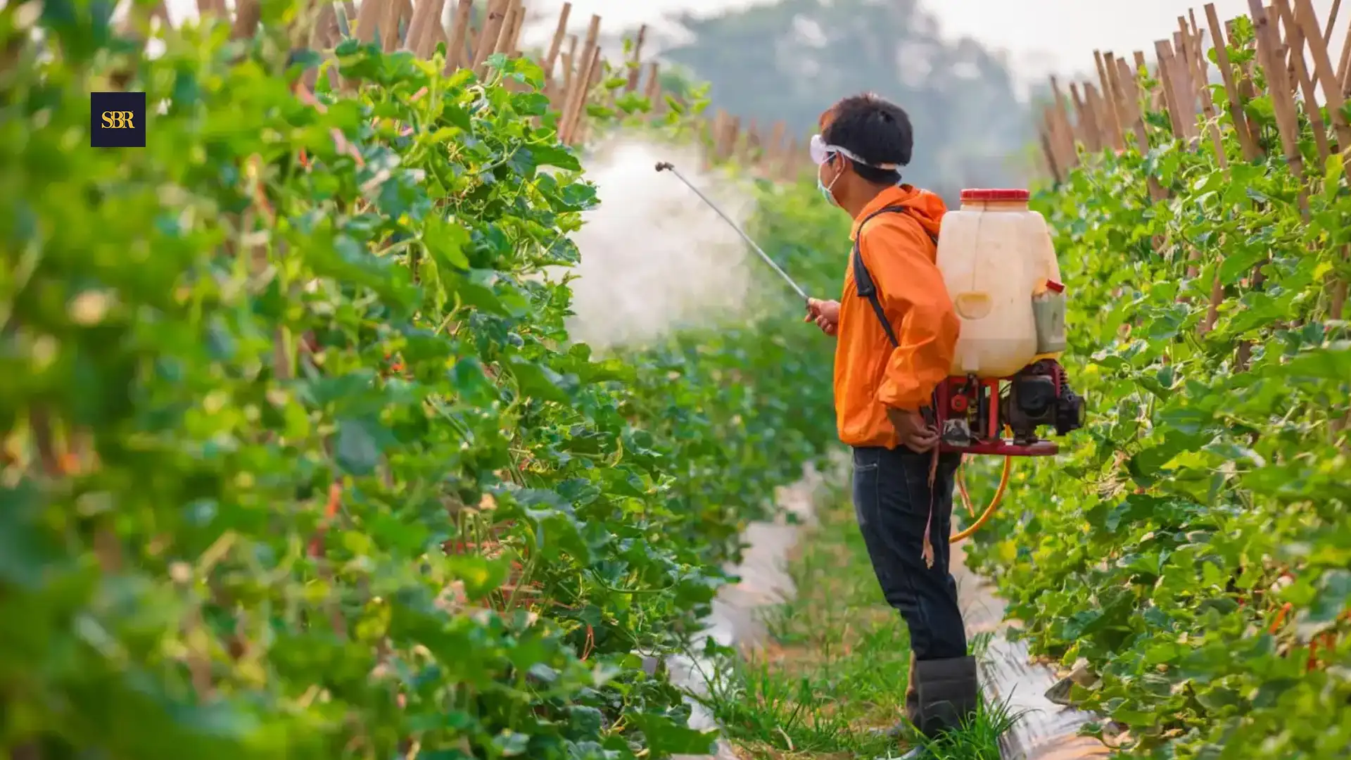 Pesticide Regulation Must Protect Farmers without Excusing Manufacturer Noncompliance